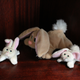 Illustration for article titled Happy Easter! Stef And Puffs Trip To The Bunny Museum